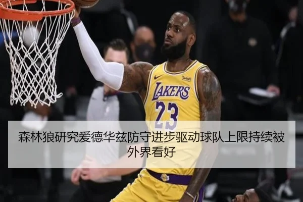 森林狼研究爱德华兹防守进步驱动球队上限持续被外界看好
